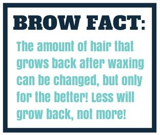 How to Get Lush Lashes & Beautiful Brows browfact1