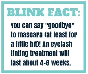 How to Get Beautiful Brows & Lush Lashes blinkfact1